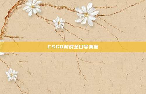 CSGO游戏全口号集锦