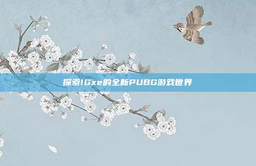探索IGxe的全新PUBG游戏世界