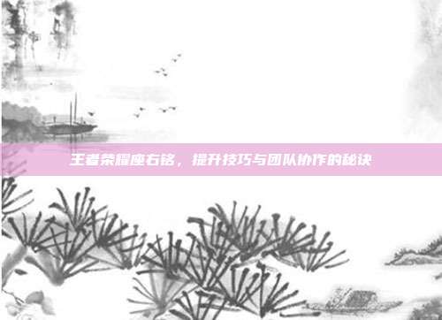 王者荣耀座右铭,提升技巧与团队协作的秘诀