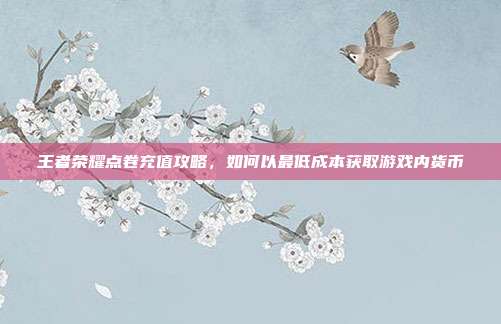 王者荣耀点卷充值攻略,如何以最低成本获取游戏内货币