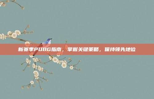 新赛季PUBG指南,掌握关键策略,保持领先地位