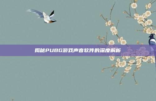 揭秘PUBG游戏声音软件的深度解析