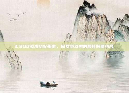 CSGO战术搭配指南,探索游戏内的最佳装备组合