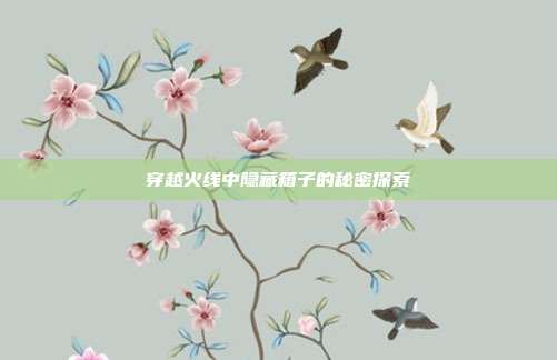 穿越火线中隐藏箱子的秘密探索