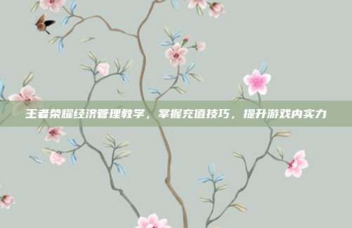 王者荣耀经济管理教学,掌握充值技巧,提升游戏内实力