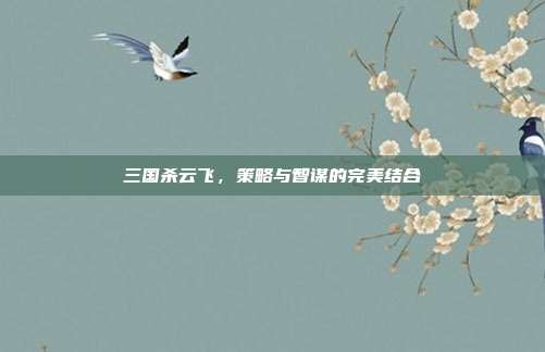 三国杀云飞,策略与智谋的完美结合