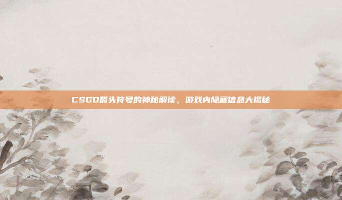 CSGO箭头符号的神秘解读,游戏内隐藏信息大揭秘