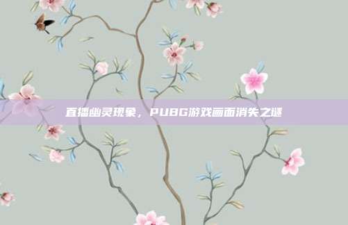 直播幽灵现象,PUBG游戏画面消失之谜