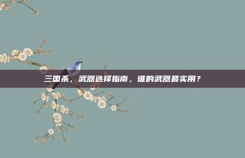 三国杀,武器选择指南,谁的武器最实用?