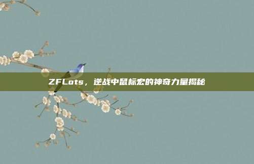 ZFLots,逆战中鼠标宏的神奇力量揭秘