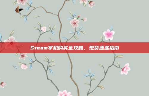 Steam掌机购买全攻略,现货速递指南