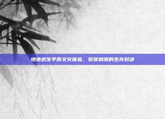 绝地求生平原交火体验,紧张刺激的生存对决