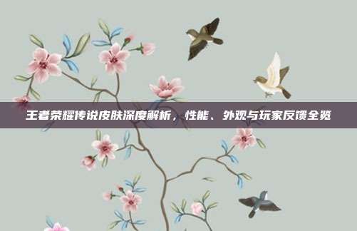 王者荣耀传说皮肤深度解析,性能、外观与玩家反馈全览
