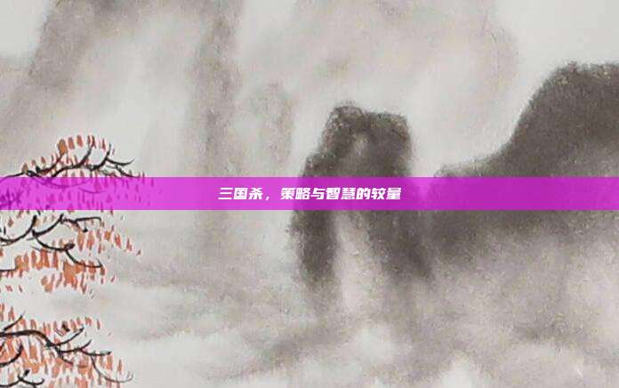 三国杀,策略与智慧的较量