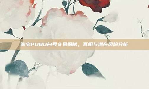 淘宝PUBG白号交易揭秘,真相与潜在风险分析