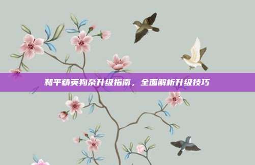 和平精英狗杂升级指南,全面解析升级技巧