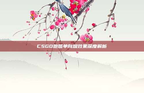 CSGO跑图单向烟效果深度解析
