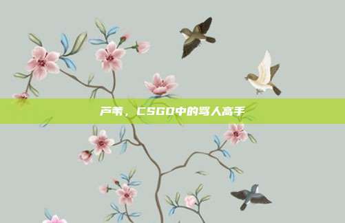 芦苇,CSGO中的骂人高手