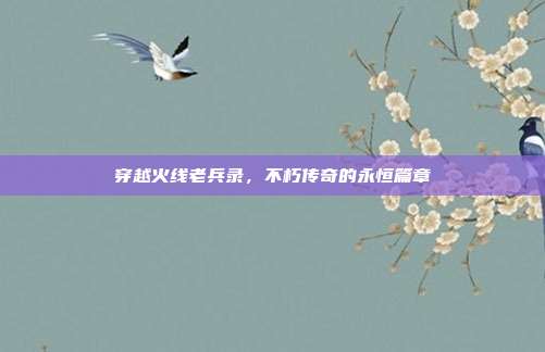 穿越火线老兵录,不朽传奇的永恒篇章