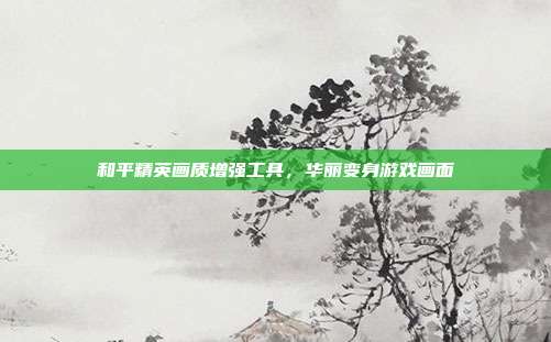 和平精英画质增强工具,华丽变身游戏画面