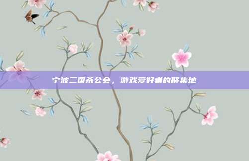 宁波三国杀公会,游戏爱好者的聚集地