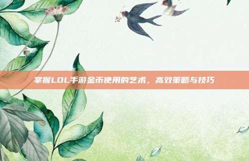 掌握LOL手游金币使用的艺术,高效策略与技巧