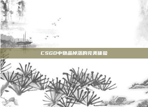 CSGO中物品掉落的完美体验