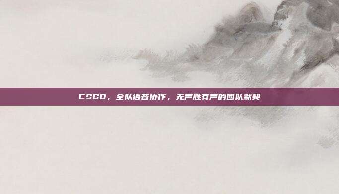 CSGO,全队语音协作,无声胜有声的团队默契