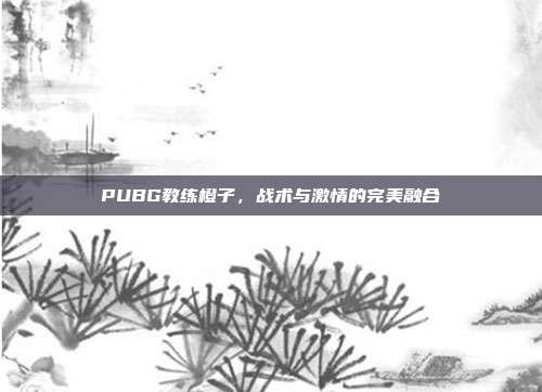PUBG教练橙子,战术与激情的完美融合