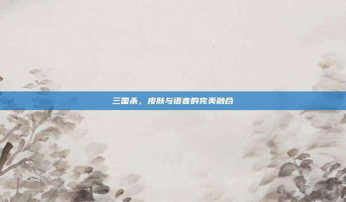 三国杀,皮肤与语音的完美融合
