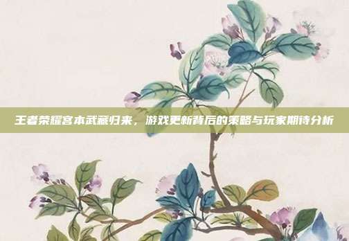 王者荣耀宫本武藏归来,游戏更新背后的策略与玩家期待分析