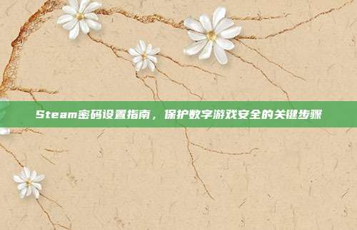 Steam密码设置指南,保护数字游戏安全的关键步骤