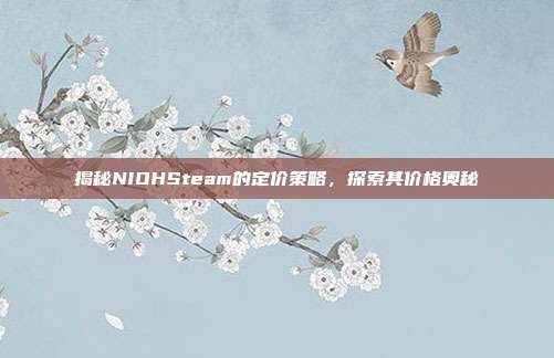 揭秘NIOHSteam的定价策略,探索其价格奥秘