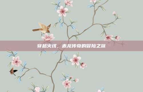 穿越火线,赤龙传奇的冒险之旅