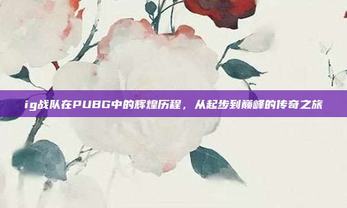 ig战队在PUBG中的辉煌历程,从起步到巅峰的传奇之旅