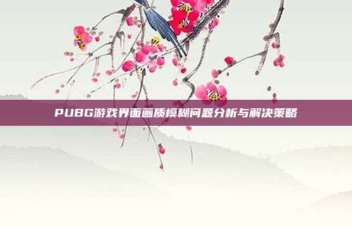 PUBG游戏界面画质模糊问题分析与解决策略