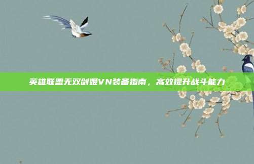 英雄联盟无双剑姬VN装备指南,高效提升战斗能力