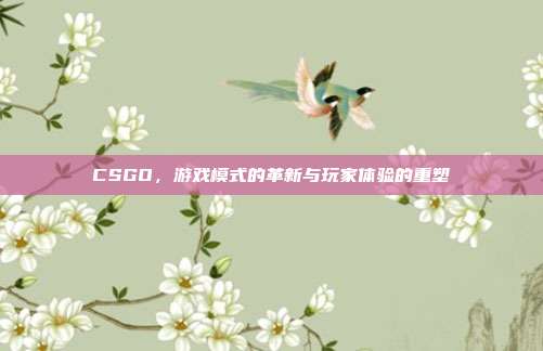 CSGO,游戏模式的革新与玩家体验的重塑