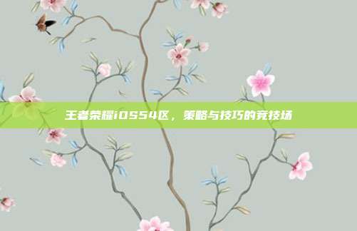 王者荣耀iOS54区,策略与技巧的竞技场