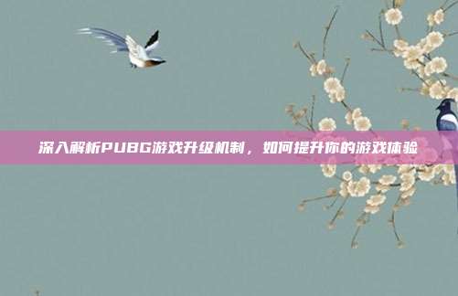 深入解析PUBG游戏升级机制,如何提升你的游戏体验