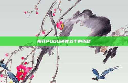 提升PUBG销售效率的策略