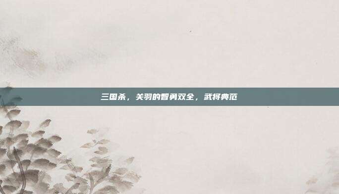 三国杀,关羽的智勇双全,武将典范
