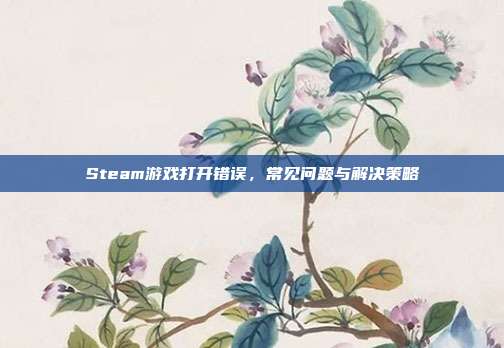Steam游戏打开错误,常见问题与解决策略