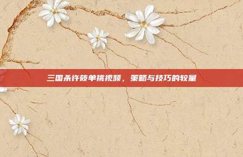 三国杀许筱单挑视频,策略与技巧的较量