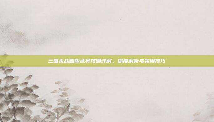 三国杀战略版武将攻略详解,深度解析与实用技巧