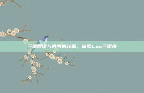 三国智谋与勇气的较量,体验Cos三国杀