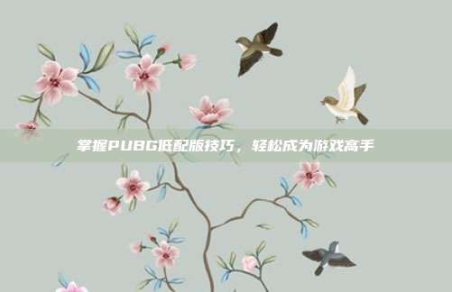 掌握PUBG低配版技巧,轻松成为游戏高手