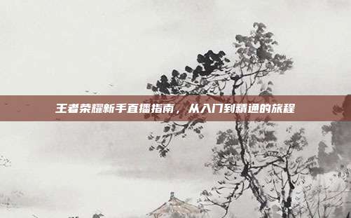 王者荣耀新手直播指南,从入门到精通的旅程