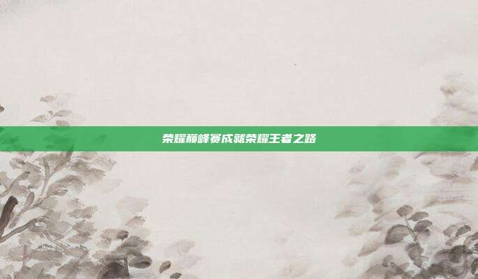 荣耀巅峰赛成就荣耀王者之路