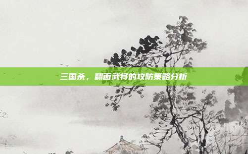 三国杀,翻面武将的攻防策略分析